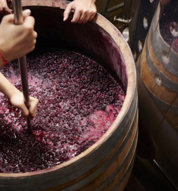 Über uns Vinotto AG